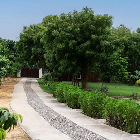 Stayvista At Idyllic Farmhouse - A Glasshouse With Outdoor Pool Gurgaon Extérieur photo